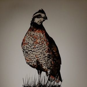 Meet your Posher, Mitchell